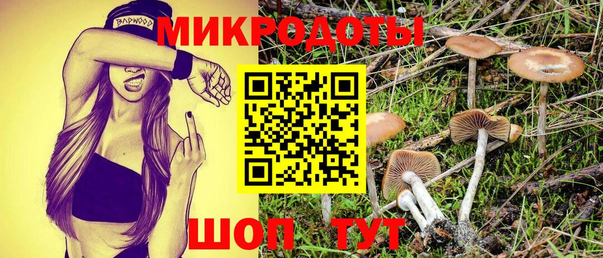 Электрогорск  Псилоцибиновые грибы прущие грибы  Вход с VPN  Псилоцибиновые грибы мухоморы 