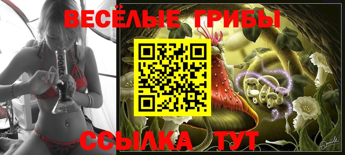 Псилоцибиновые грибы MAGIC MUSHROOMS Электрогорск